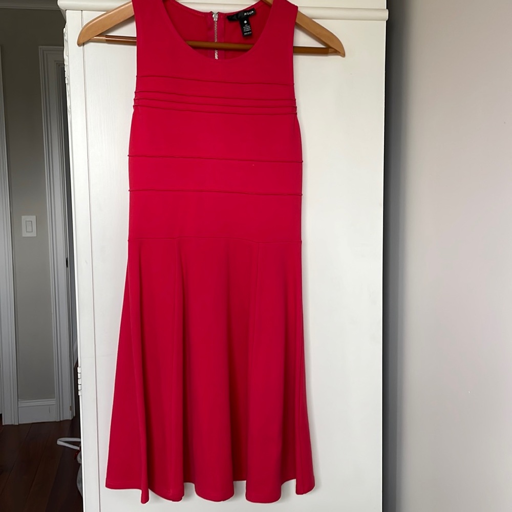 Red Dress with zipper back